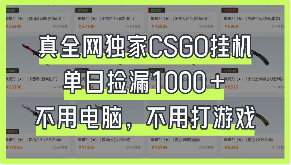 真全网独家CSGO挂机，单日捡漏1000+，不用电脑，不用养号-优优云网创