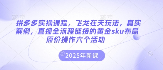 拼多多实操课程，飞龙在天玩法，真实案例，直播全流程链接的黄金sku布局原价操作六个活动-优优云网创