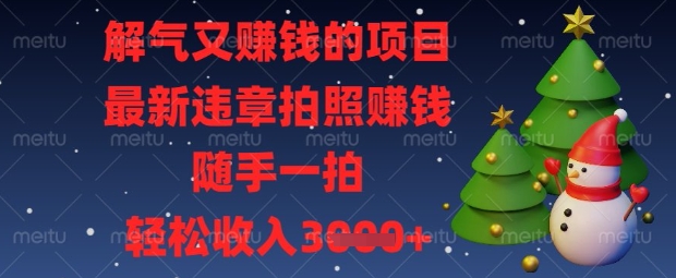 解气又挣钱的项目，最新违章拍照挣钱，随手一拍，轻松收入数张【揭秘】-优优云网创